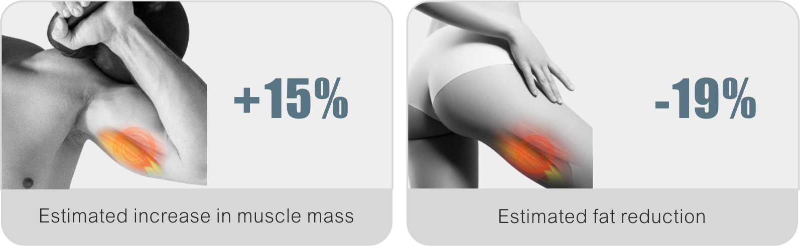 ems principle اصل ems